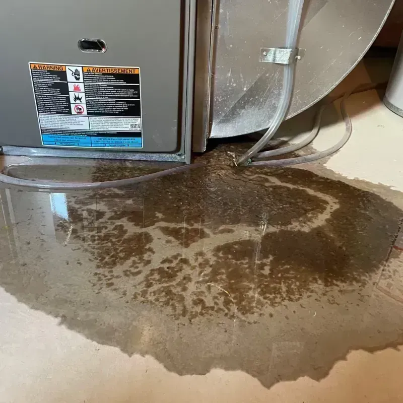 Appliance Leak Cleanup in Johnsonville, SC